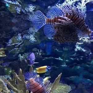 Meet your Posher, Shelly